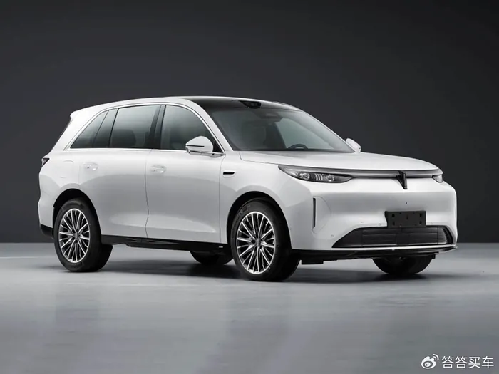车型定位方面，V8X定位于中大型SUV，车身尺寸与内部空间瞄准家庭用户及兼顾商务用途的消费群体。从魏牌现有V系列产品线来看，V系列目前涵盖蓝山等中大型SUV产品，V8X的加入进一步细化了品牌在中大型S…