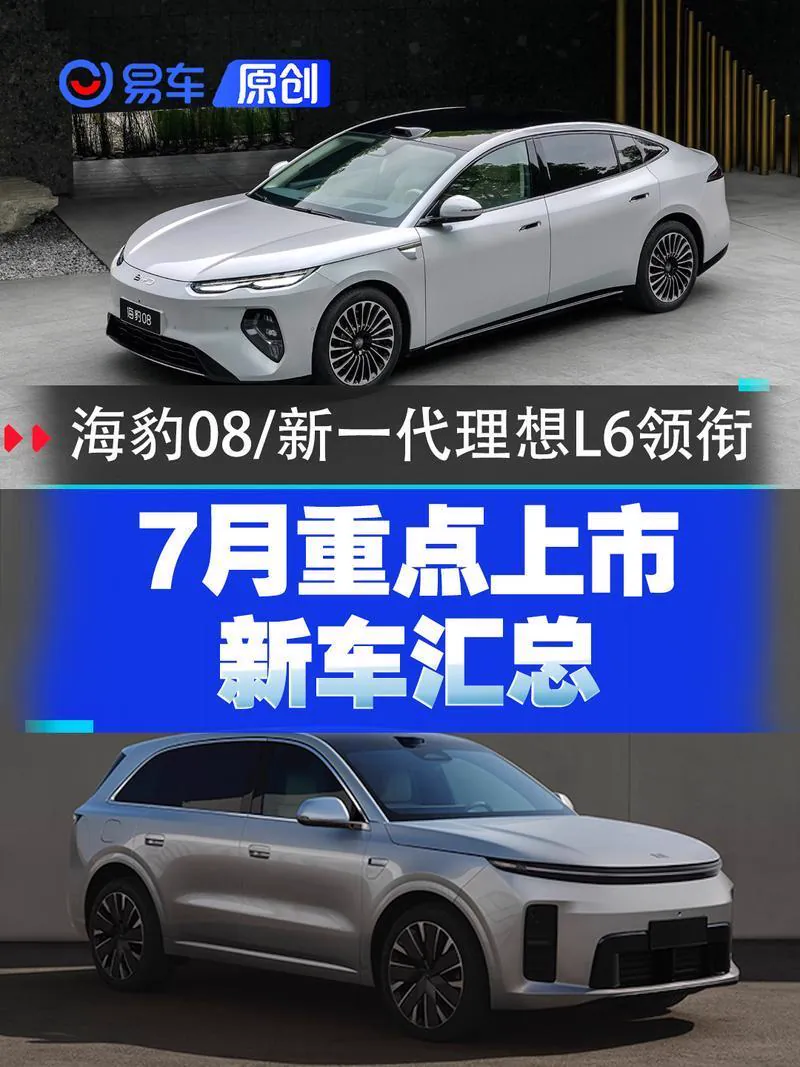 【10-20万元：紧凑级SUV/入门家用】