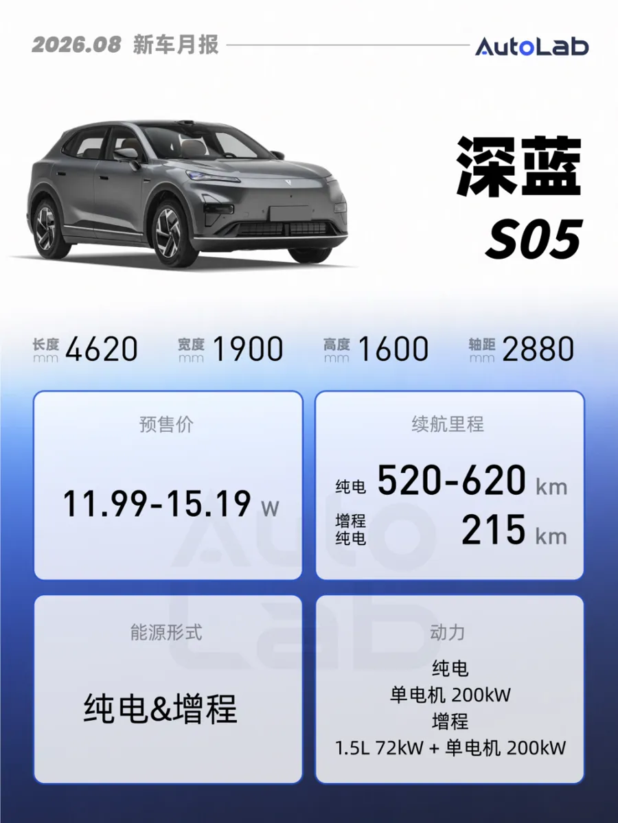 【11万-20万元价格带：家用与纯电小型车主战场】