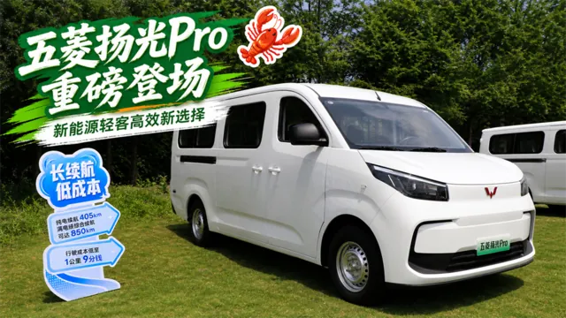 内饰延续轻客车型实用取向，采用极简设计风格，配备三辐式方向盘、液晶仪表盘及收音机等基础配置，座椅为织物材质，以控制购车成本。空间是该车的核心卖点之一：官方信息显示，扬光Pro拥有9方级货厢，货厢造型方…