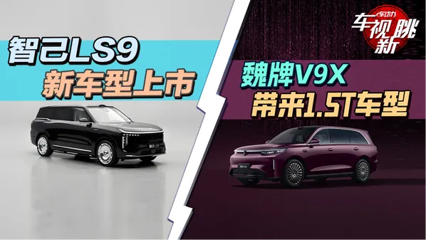 需要说明的是，目前公开报道已明确31.98万元对应的是52…